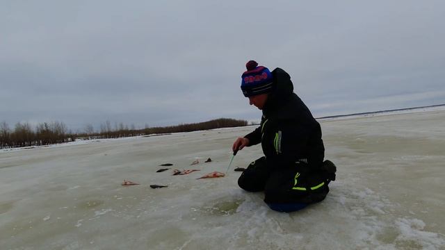 Неподъёмный Окунь отбирает удочку, снегоход Yamaha VK540 творит чудеса! смотреть онлайн