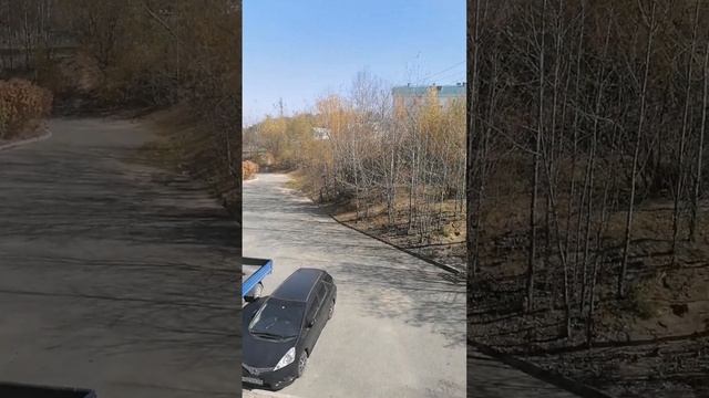 дракон всё поджог, а потом пробрался ко мне домой. ??⚡? смотреть онлайн