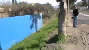 Адлер Совхоз Россия экскурсия