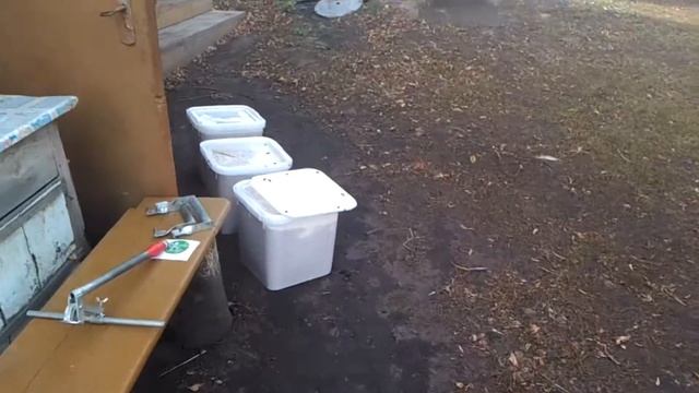 Медовый двор. Алтайский мёд. смотреть онлайн