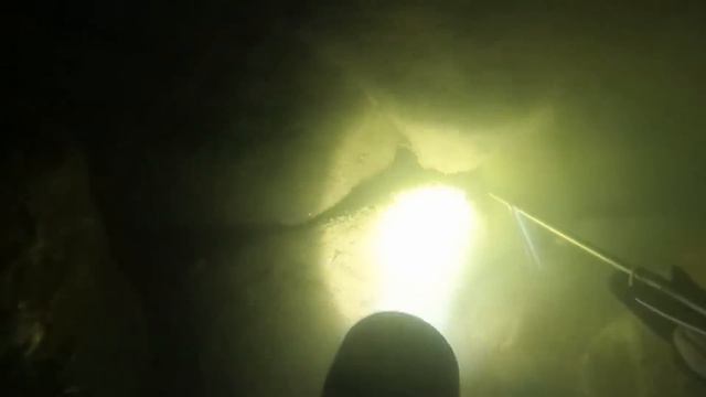 阿峰潛水捕魚抓到巨大龍蝦王！算一算時薪1000塊！要是天天這樣就發財了！【探海漁人】