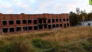Выдрино, осень, прогулка 2023. Часть 1