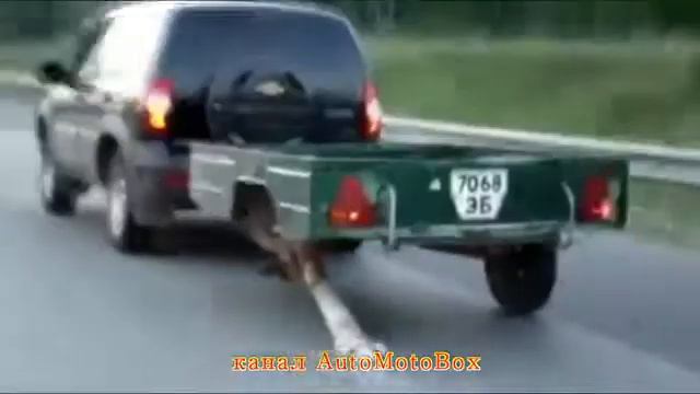 АвтоПриколы по русски смотреть онлайн