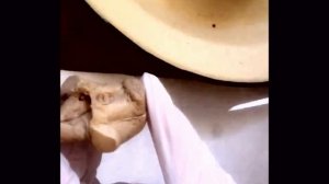 ПЕРЕШЕЕК РОМБОВИДНОГО МОЗГА   Isthmus rhombencephali