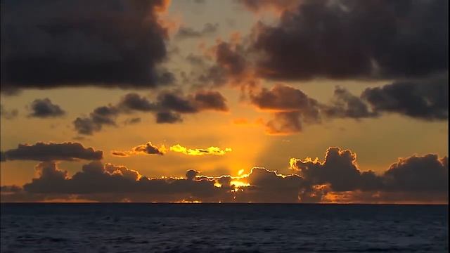 Кантата Te Deum Гендель смотреть онлайн