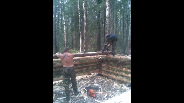 Строительство домика в лесу КАРЕЛИЯ смотреть онлайн