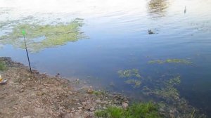 Вечерняя рыбалка на реке Большой Иргиз