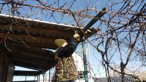 Доделываю и вешаю зеркало. Подготавливаю крепление для виноградной лозы. Тростник, почки черешни.