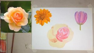 Как нарисовать цветок Роза.mp4