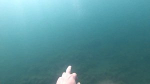 Бухта Инал, Черное море, автокемпинг.