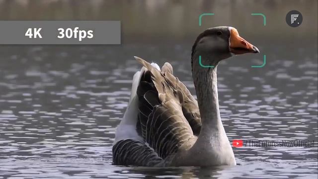 10 Coolest New Gadgets 2022 |  You Must Have