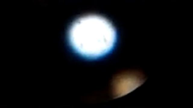 Неизвестная инфузория в аквариуме смотреть онлайн