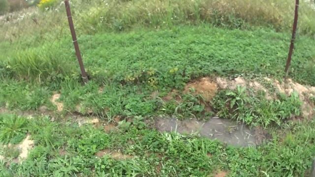 углубление 5 колечного колодца начало смотреть онлайн