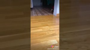 бедная Тося vs Богатая Чапи