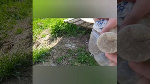 Инструмент для посадки клубники