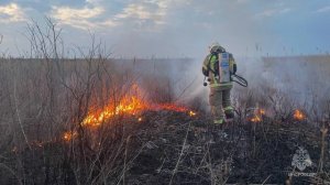 Увеличился риск возникновения пожаров, связанных с возгоранием сухой растительности