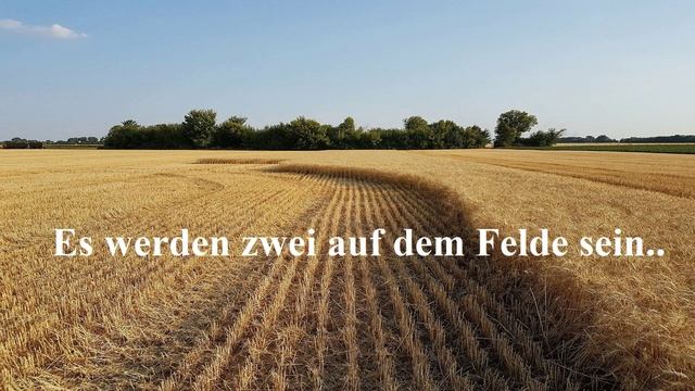 Es werden zwei auf dem Felde sein..