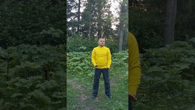 Qigong ba duan jin цигун "8 кусков парчи" смотреть онлайн