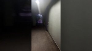 Моя работа отель Рэдиссон.