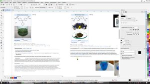 Онко-логика или что мы можем сделать сами... (07.03.2024)[1080p]