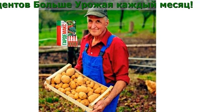 Отзывы О Гардемакс смотреть онлайн