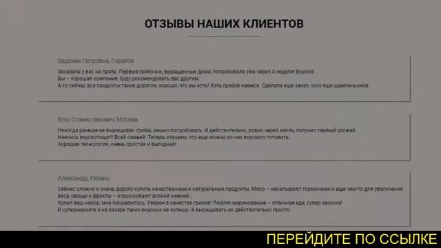 Грибы в домашних условиях, грибница. Выращивание грибов дома