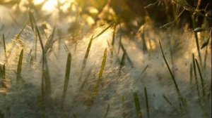 БЕЛЫЙ ВАЛЬС поёт НИКОЛАЙ ШЕРШЕНЬ