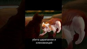 коты воители смерти наших любимых персонажей ?????????????