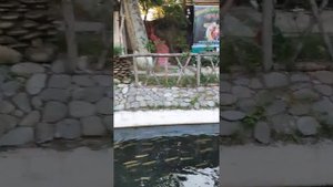 Рейсан Магомедкеримов в КФХ БУЛАХ