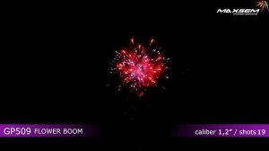 ЦВЕТОЧНЫЙ БУМ 1,2Х19 Н.GP509