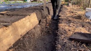 Бугры под клубнику своими руками