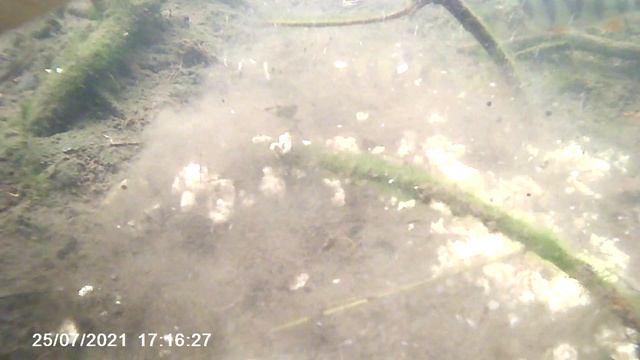 Сказочный ручей...10. смотреть онлайн