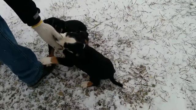 VID 20150302 150943