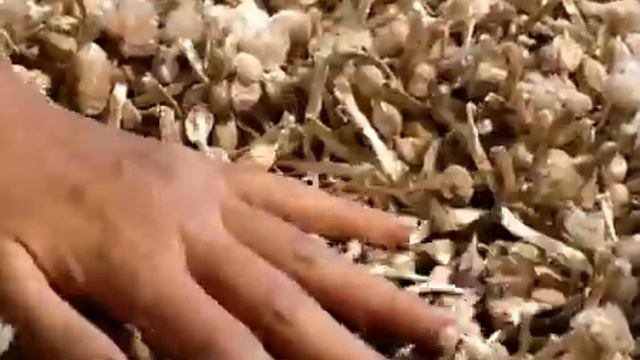 Модные длинноворсовые ковры шегги смотреть онлайн