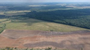 Правдинский свинокомплекс. АЧС. Жгут  свиней.