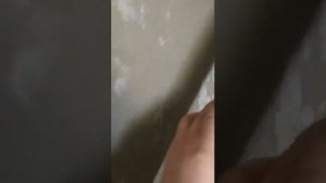 Штукатурка стен черновая штукатурка