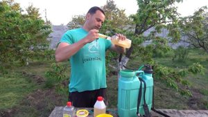 ОБРАБОТАЙ И ЗАБУДЬ О ТЛЕ НАВСЕГДА! ЛУЧШЕЕ ПРОВЕРЕННОЕ, НАТУРАЛЬНОЕ СРЕДСТВО ОТ ТЛИ