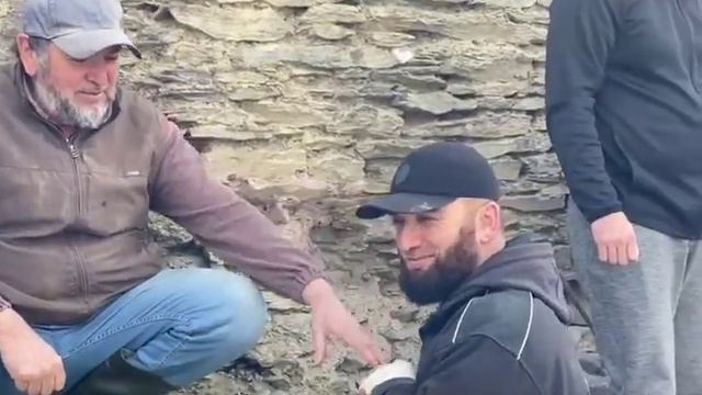 СИЛЬДИ(5) смотреть онлайн