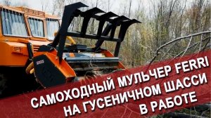 Самоходный мульчер Ferri на гусеничном шасси в работе
