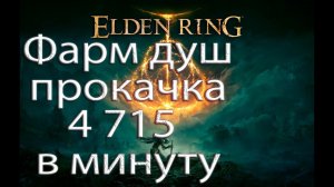 Elden Ring фарм, прокачка