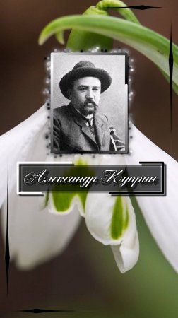 Александр Куприн. Любовь - это полное слияние умов, мыслей, душ, интересов, а не одних только тел.