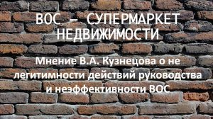 Мнение В.А. Кузнецова о не легитимности действий руководства и неэффективности ВОС