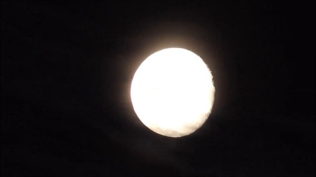 Ловля карпа на диком и платном водоеме в августе. смотреть онлайн