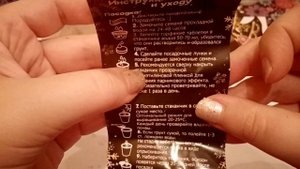 Что внутри набора из Фикс прайс вырастить домашнюю ель. Взошла сняла продолжение далее