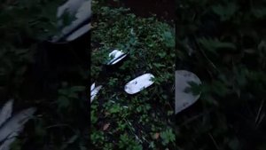 Ловля хариуса на лесной речке в Пермском крае в сентябре
