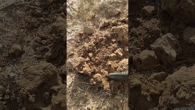 Ходячка тоже попадается. смотреть онлайн