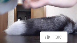 Что нужно купить для квадробики?