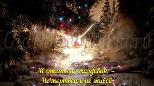 Новогоднее стихотворение Чародейкою зимою Тютчев Ф.И.