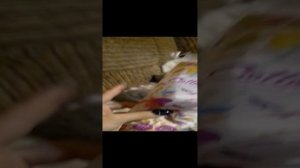 всё дополняем