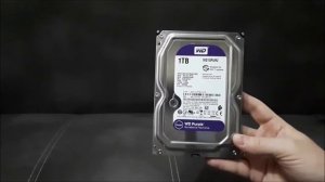 Обзор жесткого диска WD Purple 1Tb WD10PURZ